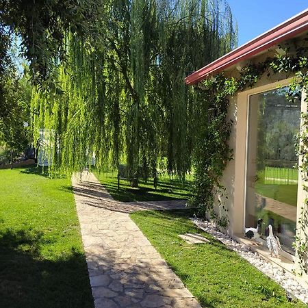B&B Volver Peschici Exteriér fotografie