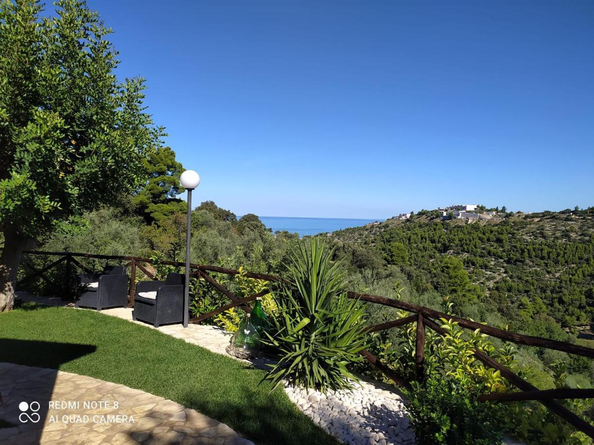 B&B Volver Peschici Exteriér fotografie