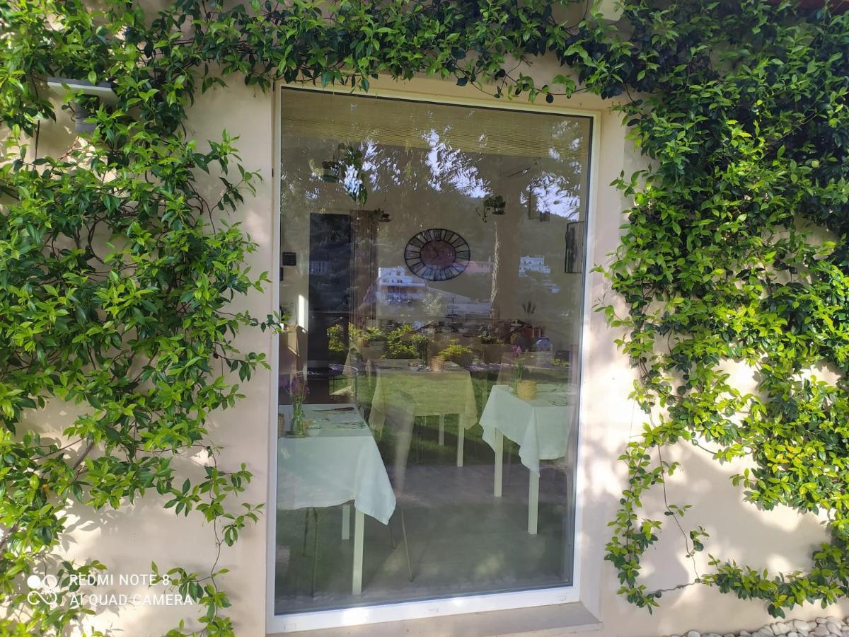 B&B Volver Peschici Exteriér fotografie