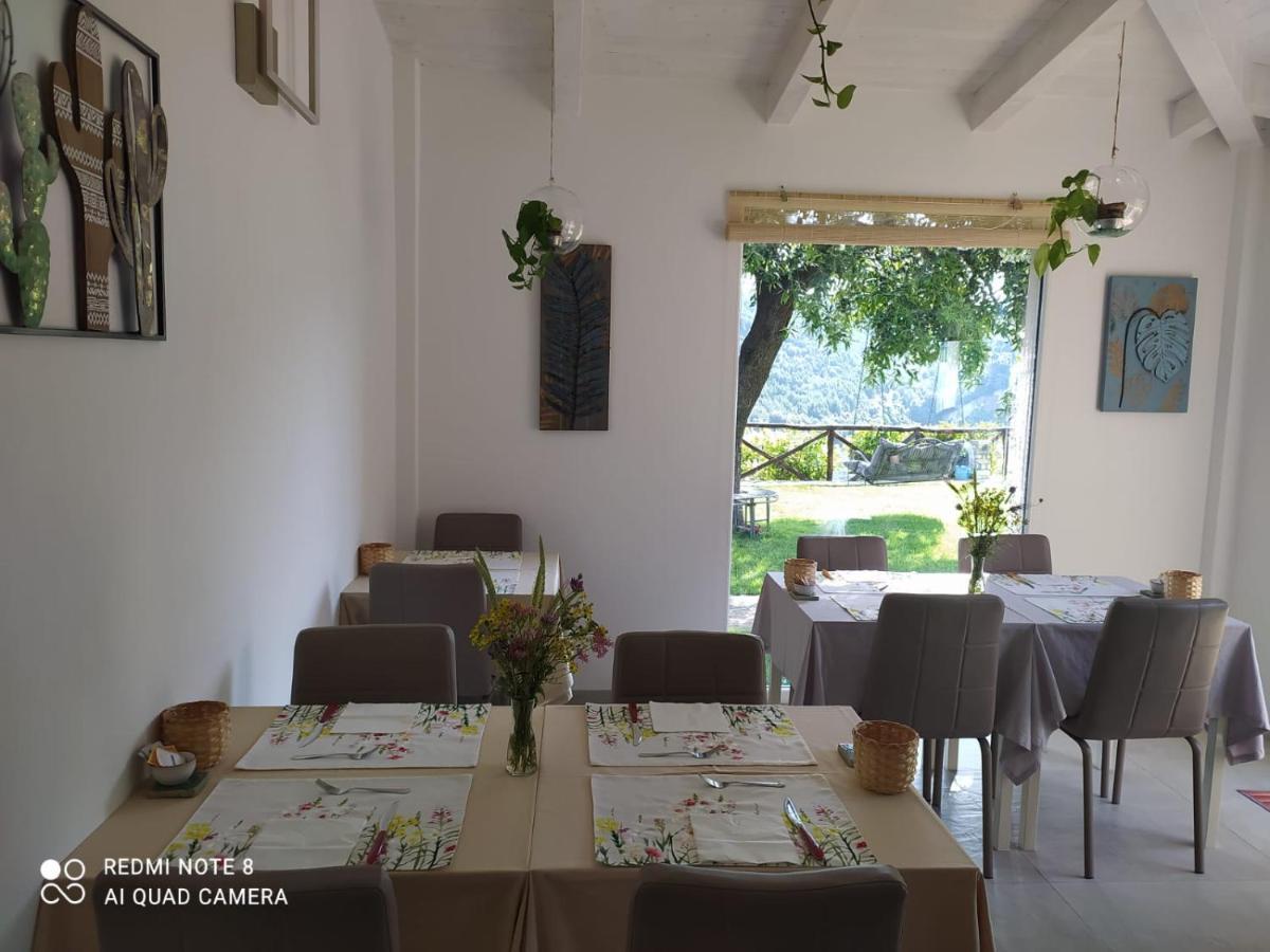 B&B Volver Peschici Exteriér fotografie